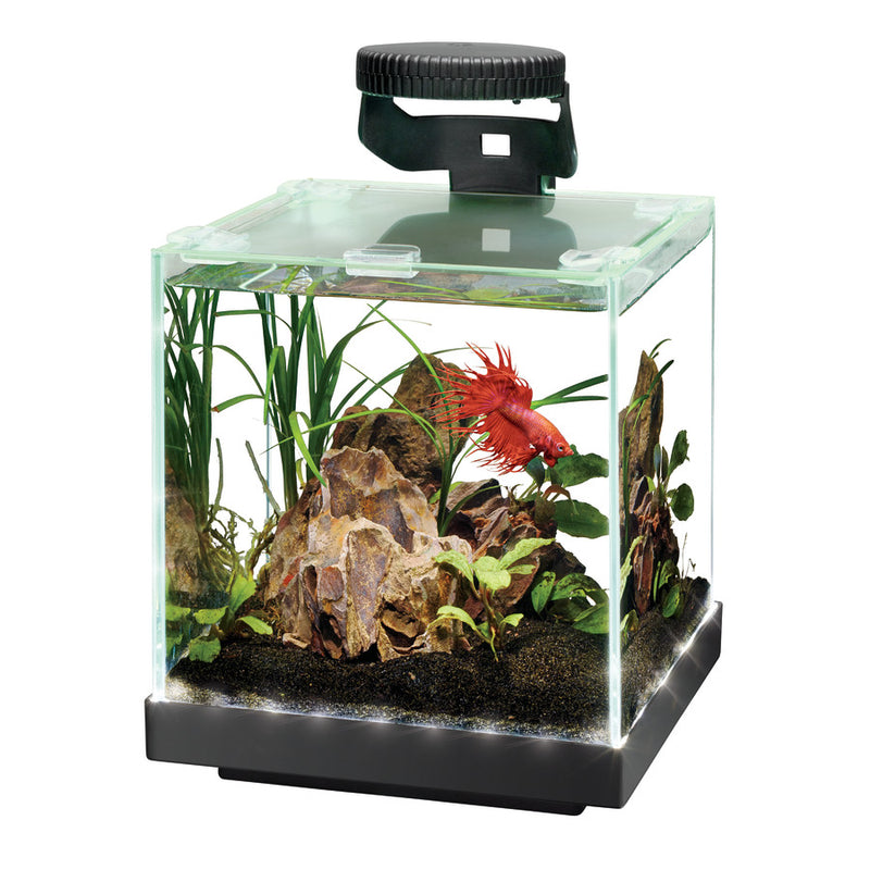 Aqueon Edgelit Rimless Cube Glass Aquariums