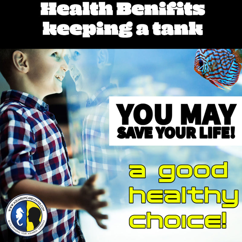 Health Benefits of keeping an aquarium