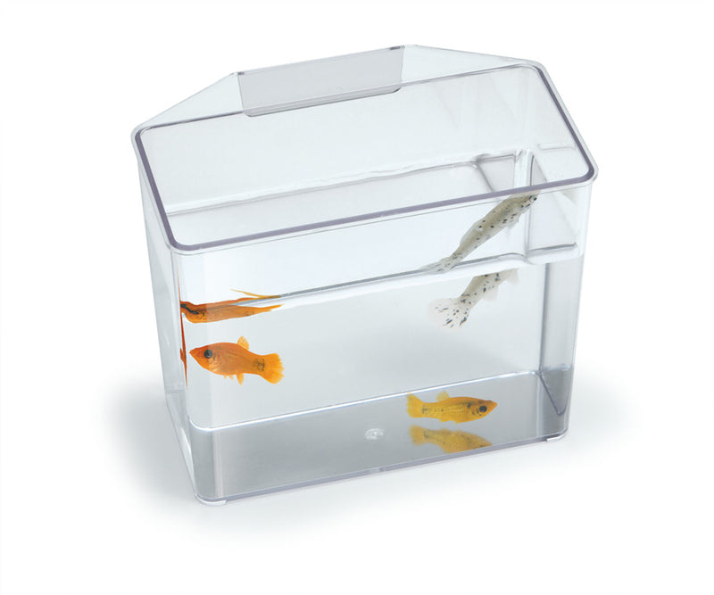 Lee's Aquarium & Pet Products Break Resistant Specimen Containers