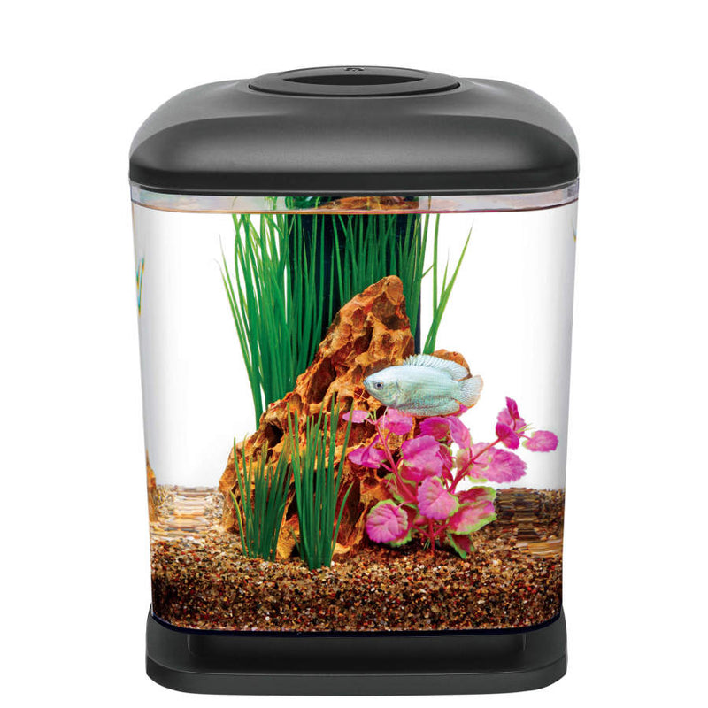 Aqueon LED MiniCube Desktop Aquarium Kit - 1.6 Gallon