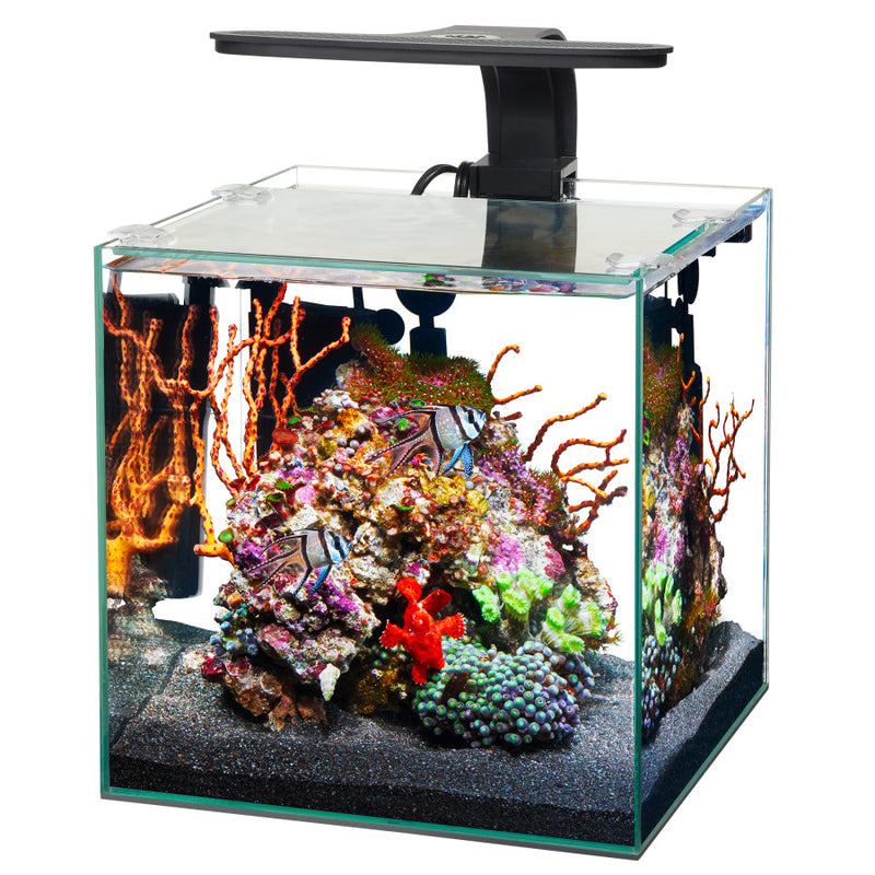 Aqueon Frameless Cube Aquarium