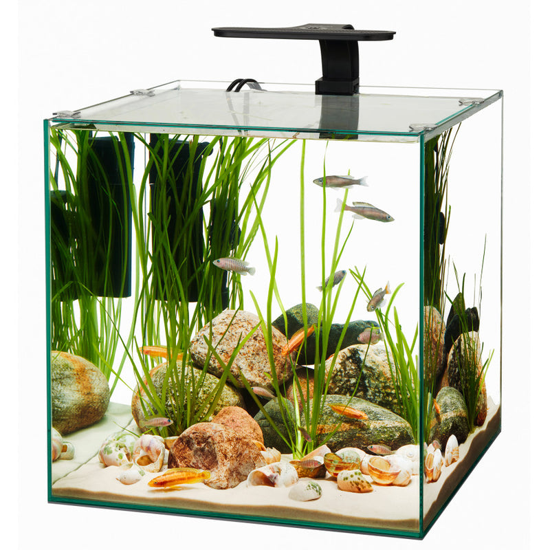 Aqueon Frameless Cube Aquarium