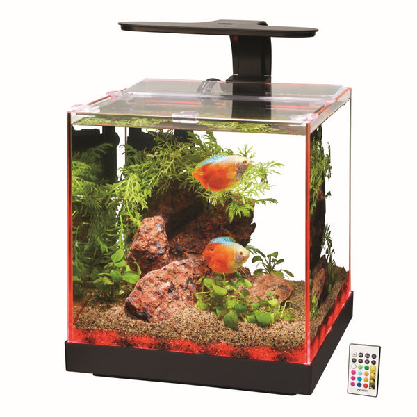 Aqueon Edgelit Rimless Cube Glass Aquariums