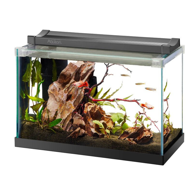 Aqueon Rimless Rectangle Aquarium