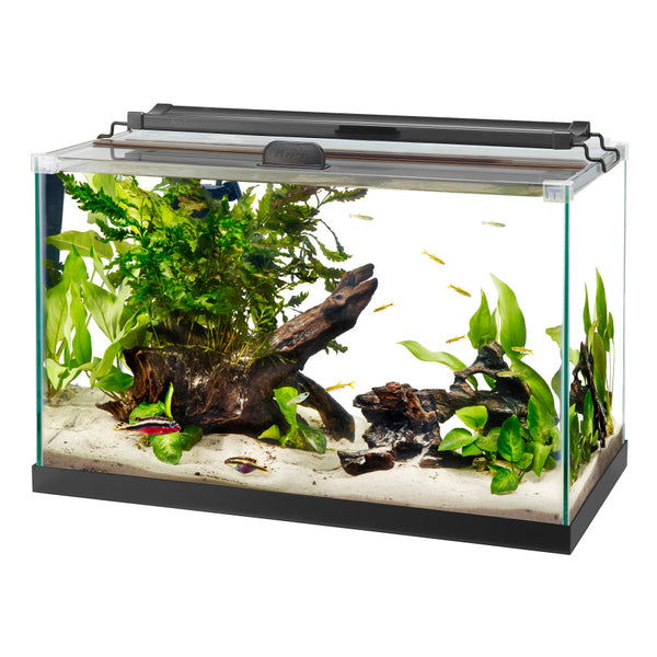 Aqueon Rimless Rectangle Aquarium