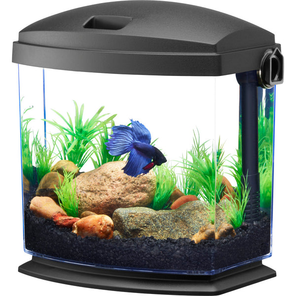 Aqueon BettaBow with Quick Clean Technology Aquarium Kit - 1 Gallon