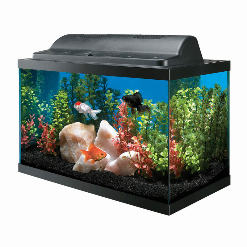 Aqueon Incandescent Aquarium Kit - 10 Gallon