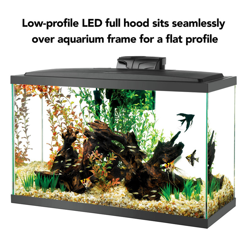 Aqueon Aquarium Starter Kit with LED Lighting