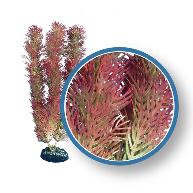 Weco Products Freshwater Pro Series Cabomba Aquarium Plant Red -18in