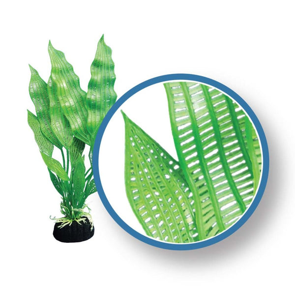 Weco Products Freshwater Pro Series Madagascar Lace Aquarium Plant Green - 18in