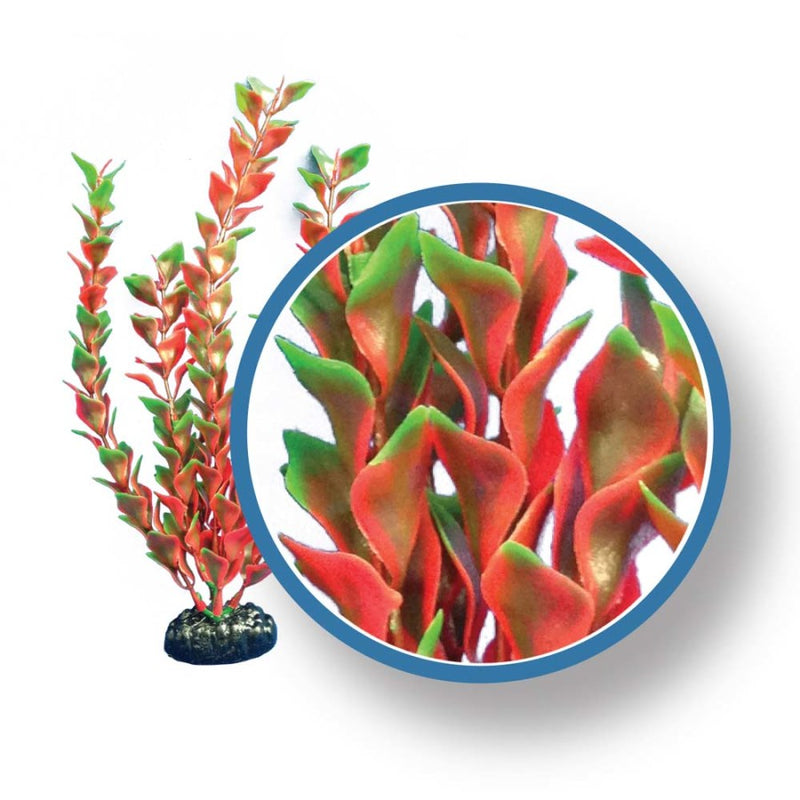 Weco Products Freshwater Pro Series Ludwigia Aquarium Plant Red - 18 in