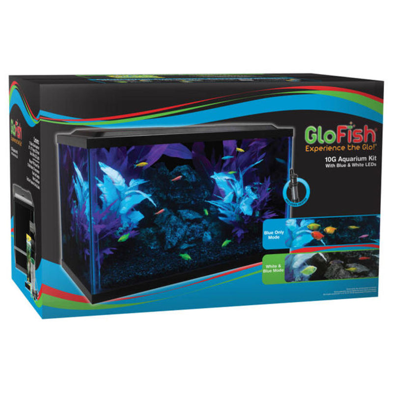 GloFish Glass Aquarium Kit Black, Clear - 10 gal