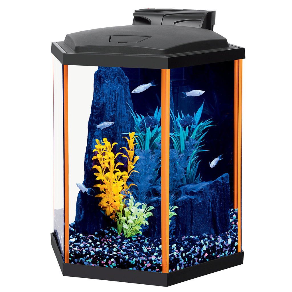  Aqueon NeoGlow LED Orange Aquarium Fish Tank Starter Kit, 10  Gallon : Pet Supplies