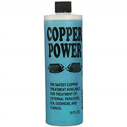 Copper Power - Blue