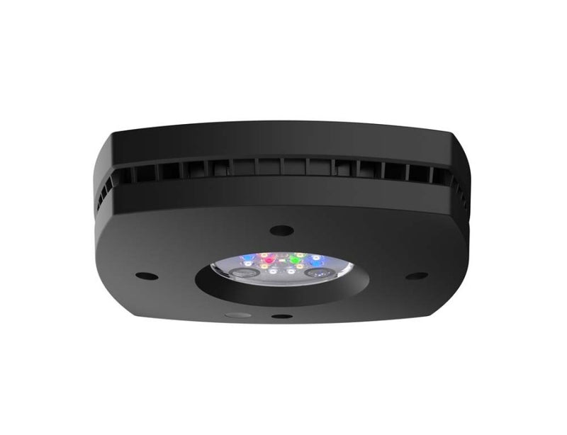 Aquailluminations Prime Freshwater - Black