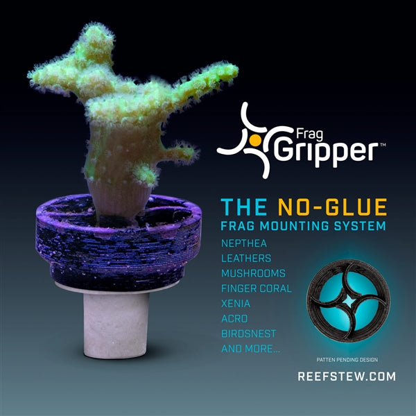 Frag Gripper Coral Mounting System 25 Pack - Black