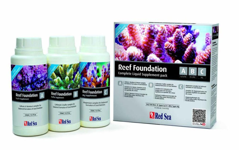 Foundation Complete Pack ABC