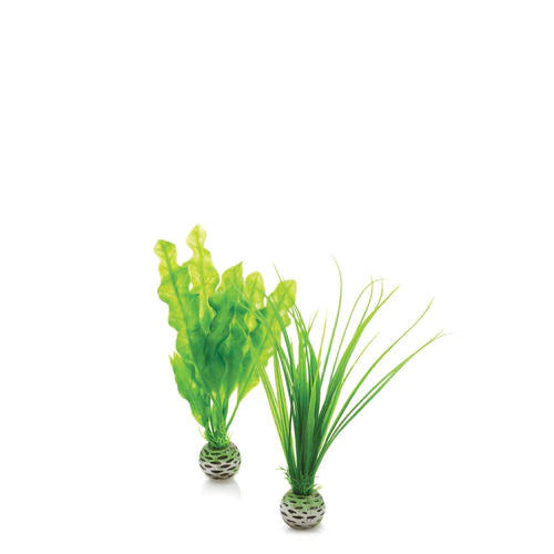 biOrb Easy Plant Set - Small Green