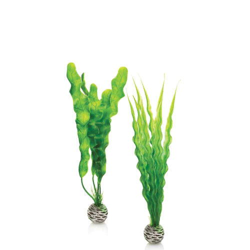 biOrb Easy Plant Set - Medium Green