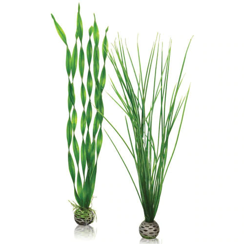 biOrb Easy Plant Set - Large Green