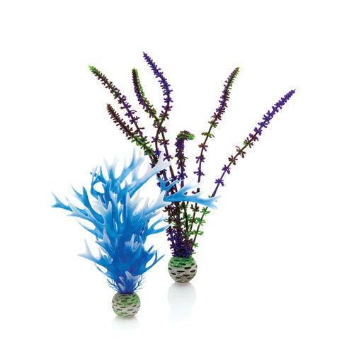 biOrb Plant Set - Medium Blue & Purple