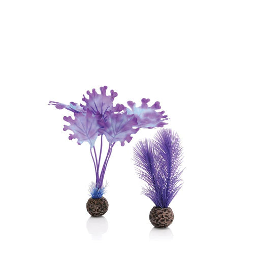 biOrb Kelp Set - Small Purple