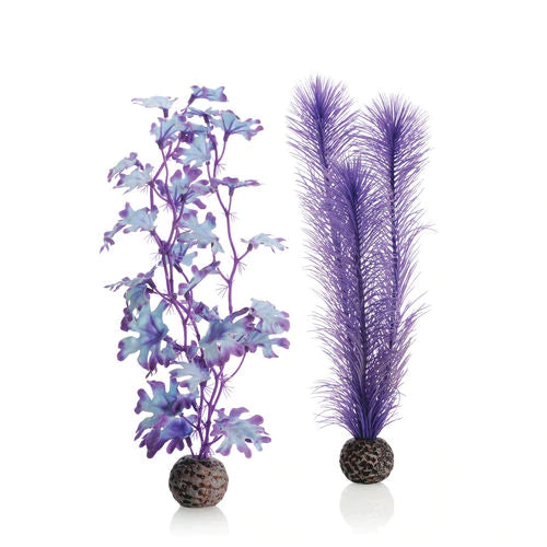 biOrb Kelp Set - Medium Purple