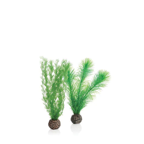 biOrb Feather Fern Set Small Green