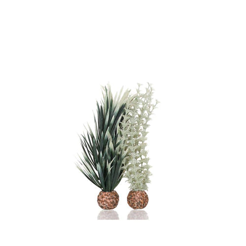biOrb Ambulia Grey & Green - Small