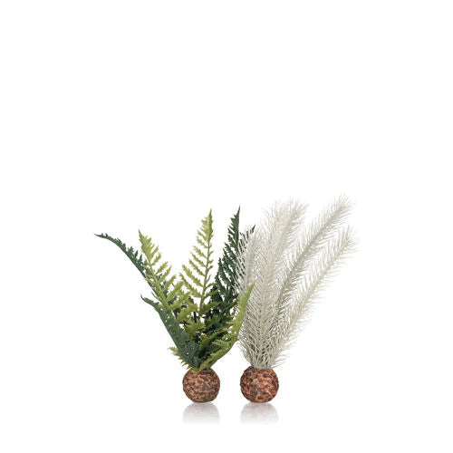 biOrb Thistle Fern - Small Grey & Green