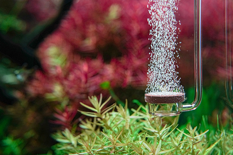 AQUARIO Neo CO2 Diffusor Extend Special Type