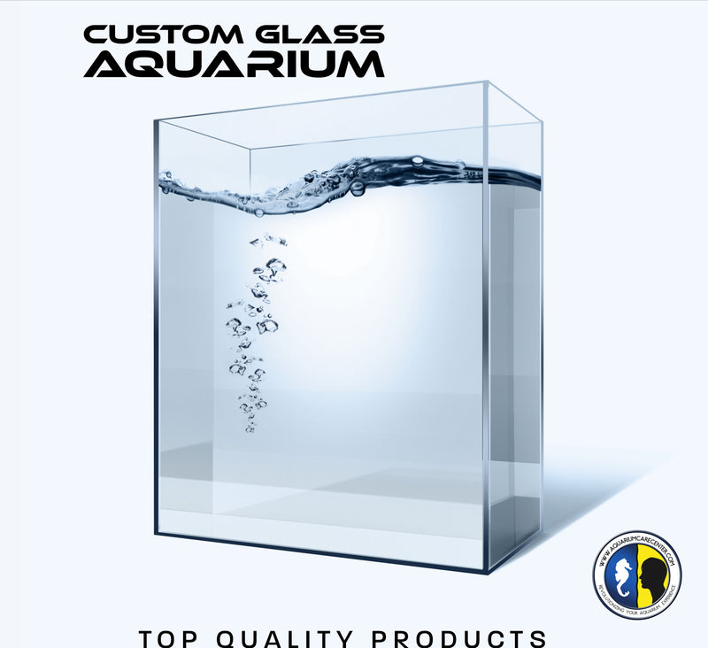 Custom Glass Aquarium