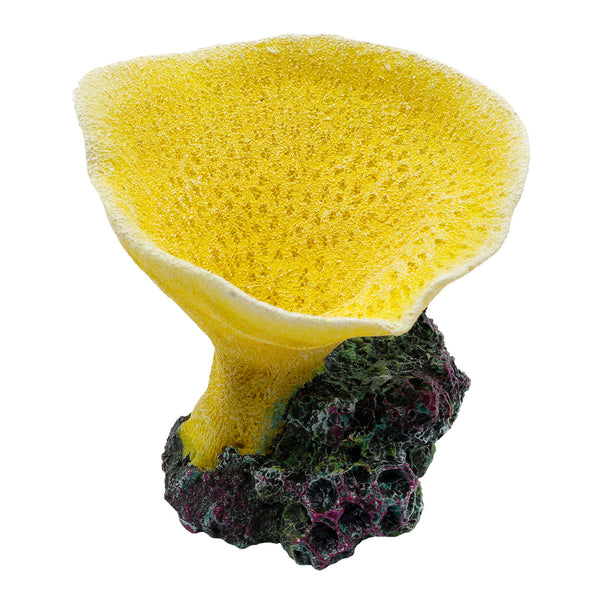 Elephant Ear Coral - Yellow
