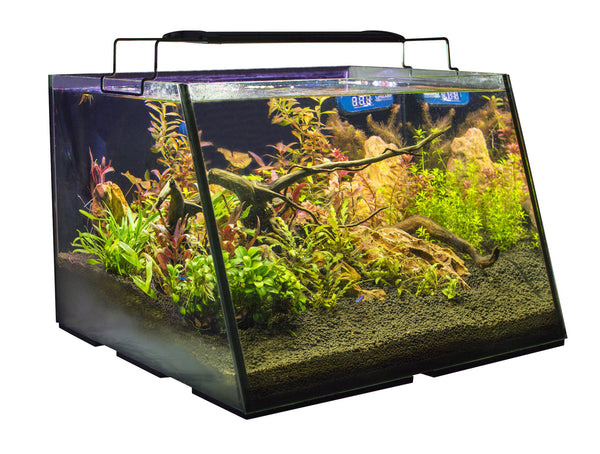 Lifegard Full View 7 gallon Aquarium with back filter empty