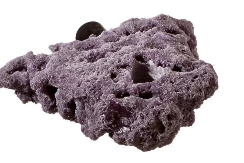Reef Rax - Single Plug Shelf