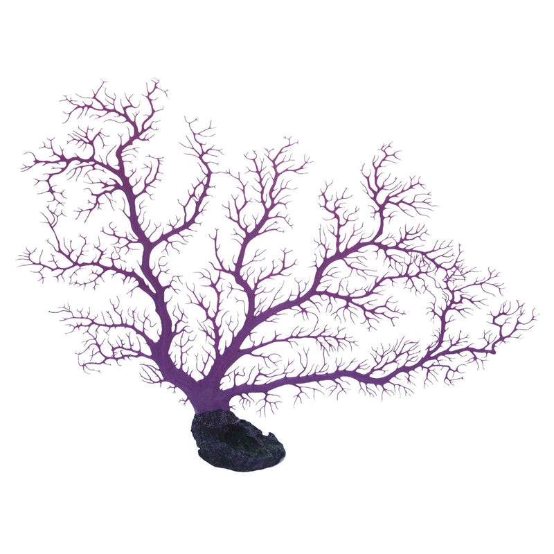 Sea Fan Coral - Purple