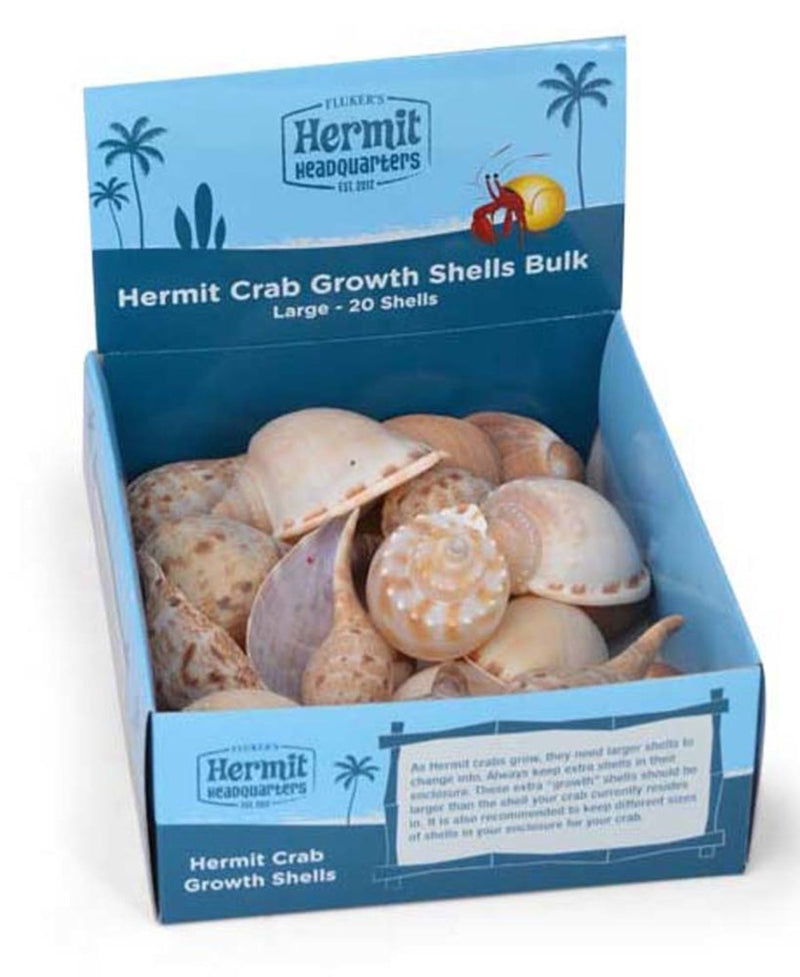 Hermit Crab Growth Shells Display Assorted 1ea/20 pk, LG