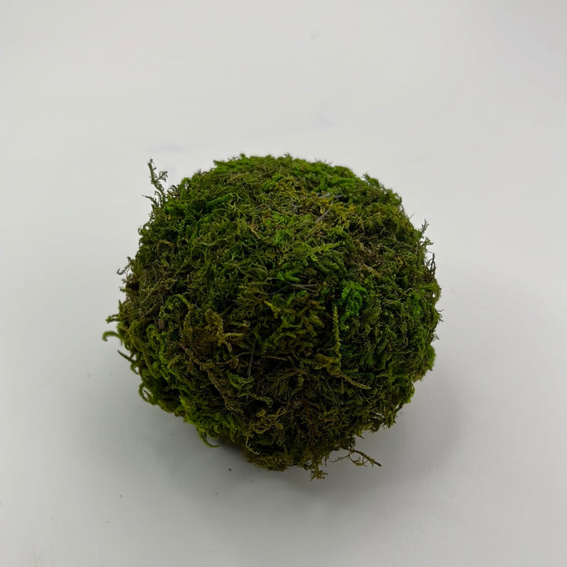 Big Green Wabi Kusa Ball