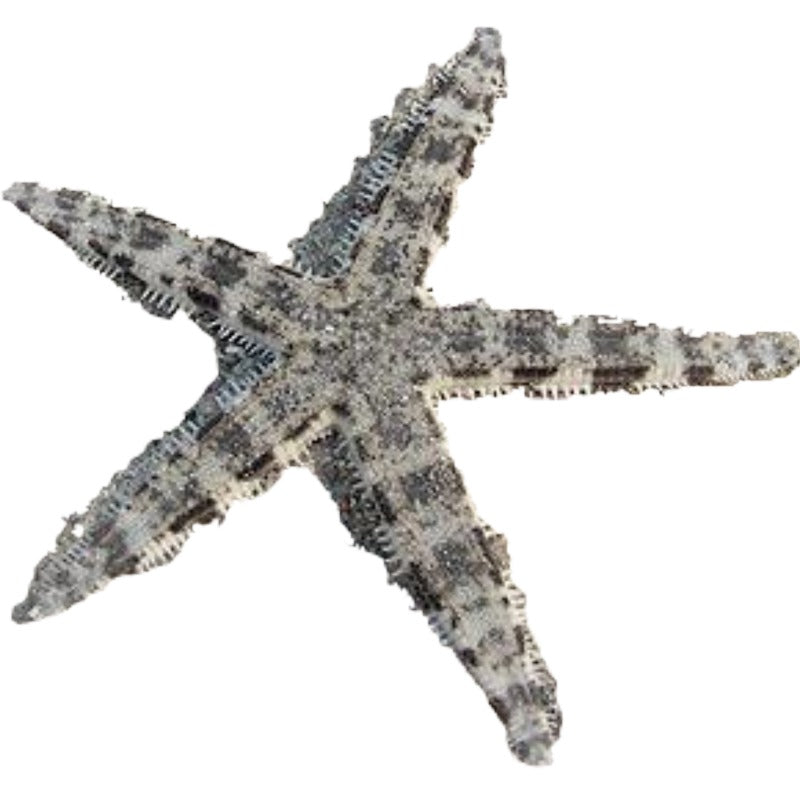 Sand Sifting Starfish White